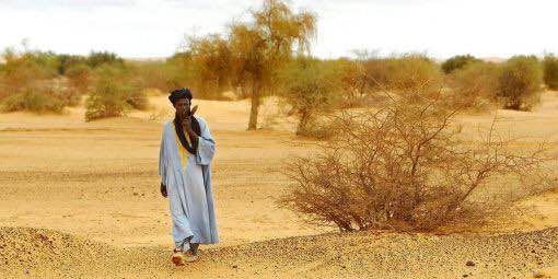 Un pasteur dans la brousse sèche