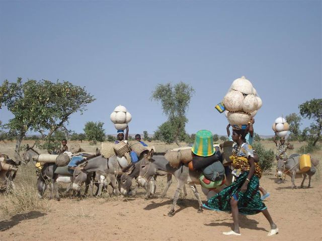 Femmes portant l'eau