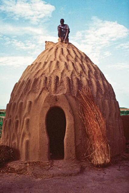 Case « obus » du nord du Cameroun